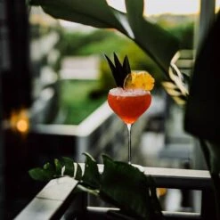 Nude Fantasy Cocktailglazen 675 Ml Kristalglas 2 Stuks -Servieswinkel image1 700x