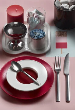 Pintinox Millenium Mystique Bestekcassette 6-persoons Rvs 24-delig -Servieswinkel millenium mystique